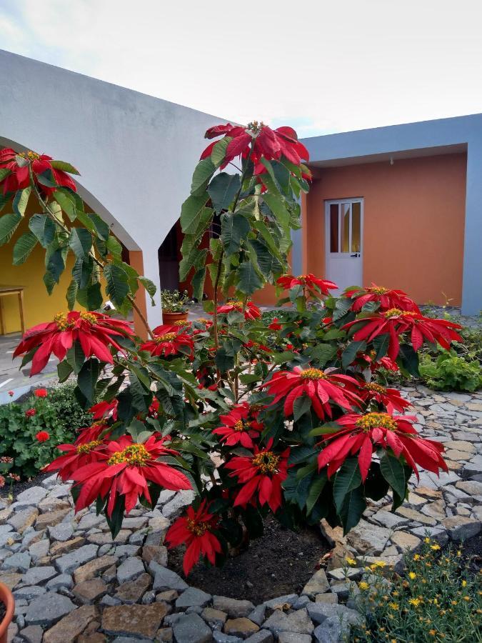 Casa Alcindo Bed & Breakfast Portela Exterior photo
